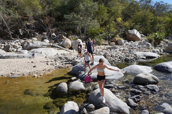 Hidden Waterfalls Hiking Adventure - The Waterfall Experience: Swimming, Jumping, and a Plunge Basin You’ll Remember