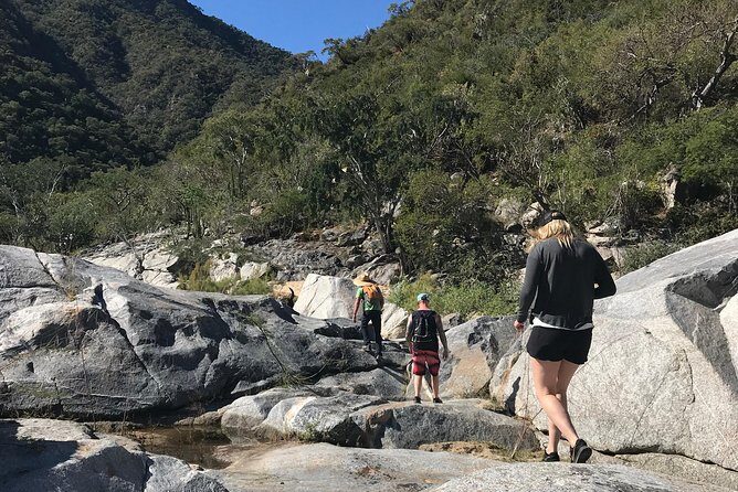 Hike the native Pericu road in Sierra de la Laguna. - Key highlights you’ll feel right away