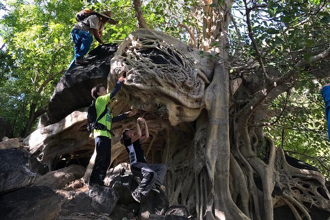 Hike the native Pericu road in Sierra de la Laguna. - Your guides and crew: pacing that keeps you moving