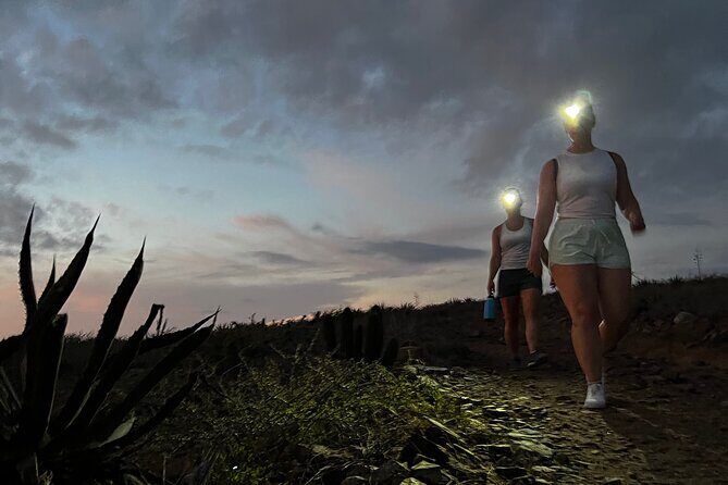 Hiking Todos Santos at Sunset - Logistics That Make It Comfortable: Pickup, Private Transport, Small Group