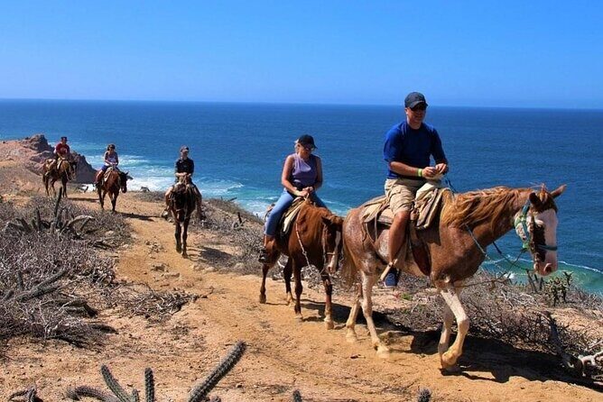 Horse Back Ridding Tour on the Pacific Ocean & Desert - Key Points You’ll Actually Care About