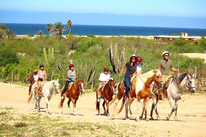 Horseback Riding Adventure in Playa Migriño with Tequila Tasting - Why Playa Migriño is the point of this whole tour