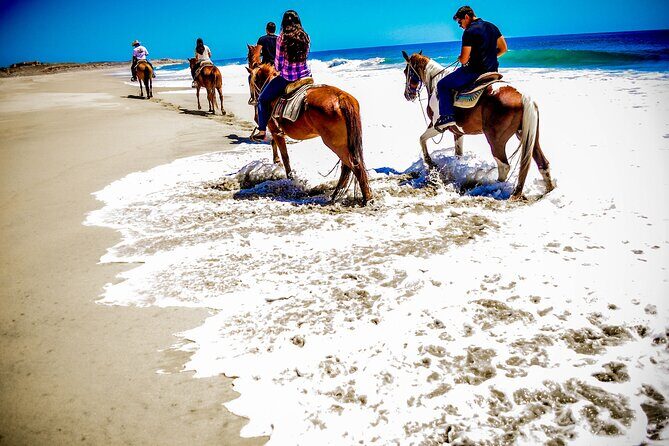 Horseback Riding Adventure in Playa Migriño with Tequila Tasting - Horses, guides, and the safety factor that makes first-timers relax