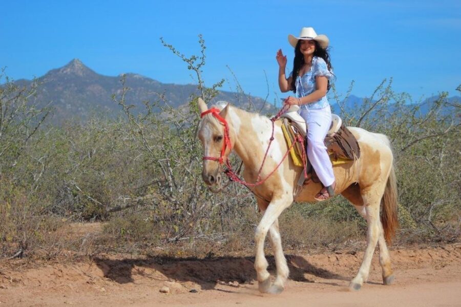 Horseback Riding Adventure in Playa Migriño with Tequila Tasting - Price and value: what you’re really paying for