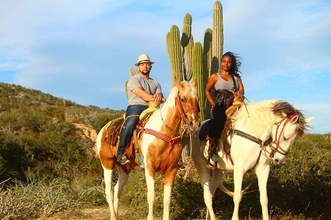 Horseback Riding Adventure in Playa Migriño with Tequila Tasting - Who this horseback-and-tequila ride suits best