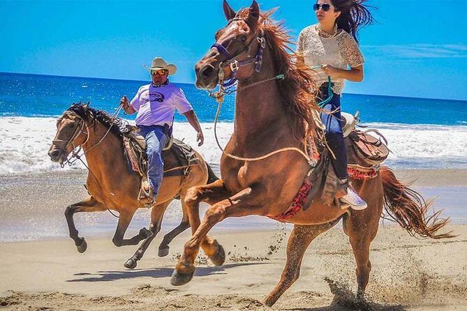 Horseback Riding & ATV Combo! Mountain Trails & Beautiful Beaches of BAJA! - Key highlights worth knowing