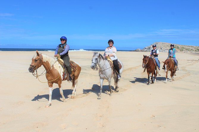 Horseback Riding & ATV Combo! Mountain Trails & Beautiful Beaches of BAJA! - Wildlife spotting with a guide: what to watch for