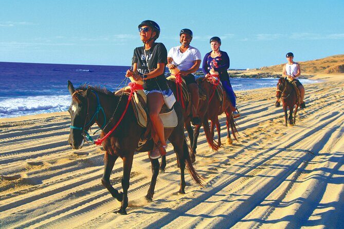 Horseback Riding Beach and Desert Adventure - Pickup in Cabo and San José: Make It Easy on Yourself