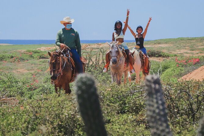 Horseback Riding Beach and Desert in Cabo - Key points before you saddle up