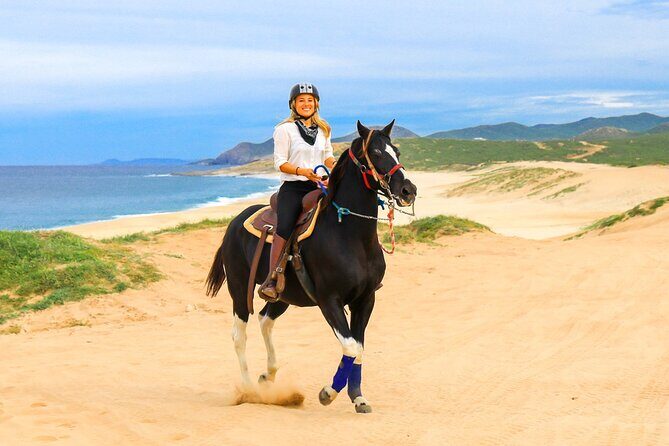 Horseback Riding Beach and Desert in Cabo - From hotel pickup to the first hoofbeat