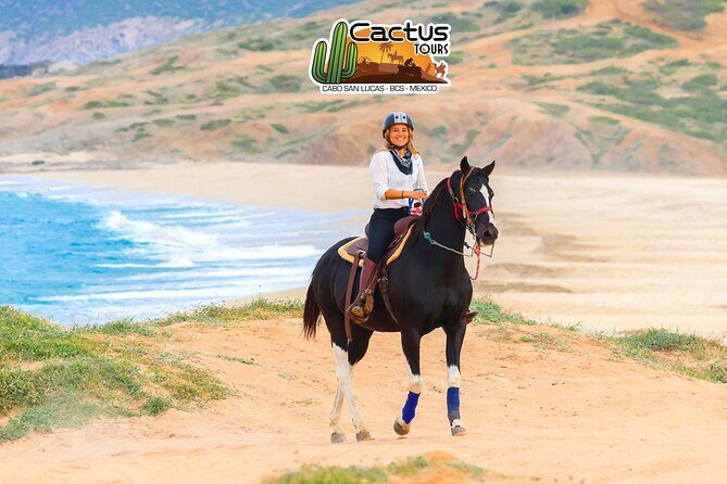 Horseback Riding Beach and Desert in Cabo - Tequila tasting and the timing of the fun