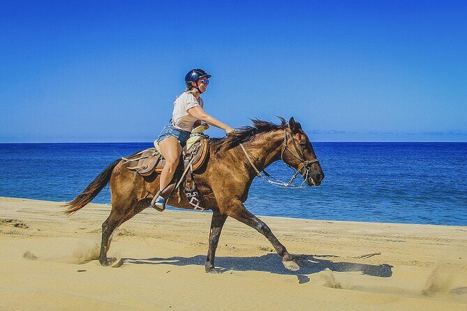 Horseback Riding Beach and Desert in Cabo - Cabo pickup logistics: convenient, but expect the drive