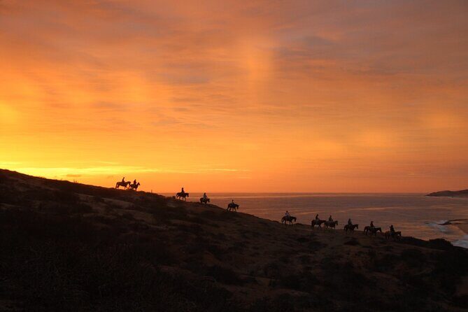Horseback Riding Experience in Rancho San Cristobal - Rancho San Cristobal Is the Cabo Horse Ride That Saves Time