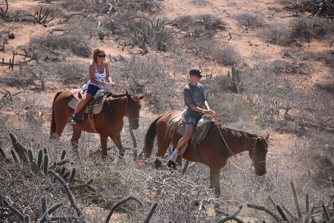Horseback Riding Experience in Rancho San Cristobal - Who Should Book This Horseback Ride?