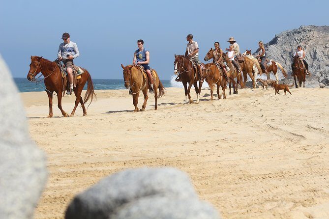 Horseback Riding Tour in Cabo San Lucas - Key things I’d circle before you book