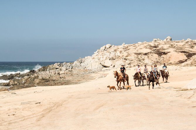 Horseback Riding Tour in Cabo San Lucas - Choosing a horse (and asking for the right fit)