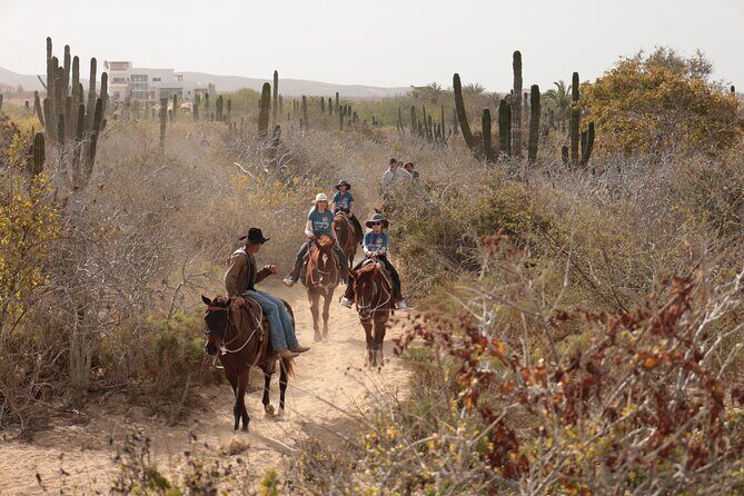 Horseback Riding Tour in Cabo San Lucas - What the route feels like: desert trails, coastline canter, and cliffy views