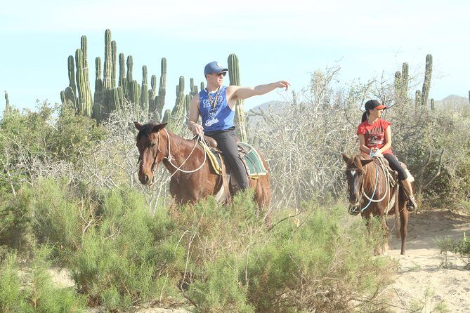Horseback Riding Tour in Cabo San Lucas - Snacks, what’s included, and what you’ll probably want