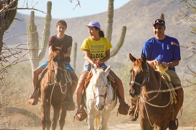 Horseback Riding Tour in Los Cabos - Key Highlights to Know Before You Saddle Up