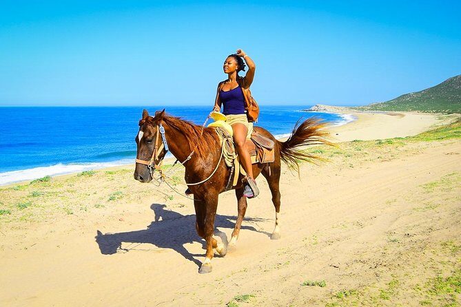 Horseback Riding Tour in Los Cabos - Desert Trails to Beach Sand: Views, Cacti, and Whale-Season Chances