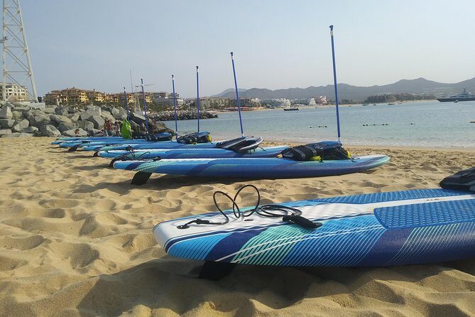 Kayak or Paddle Board & Snorkel to the Arch with Photos included - Snorkel at Pelican Rock: reef time and fish variety