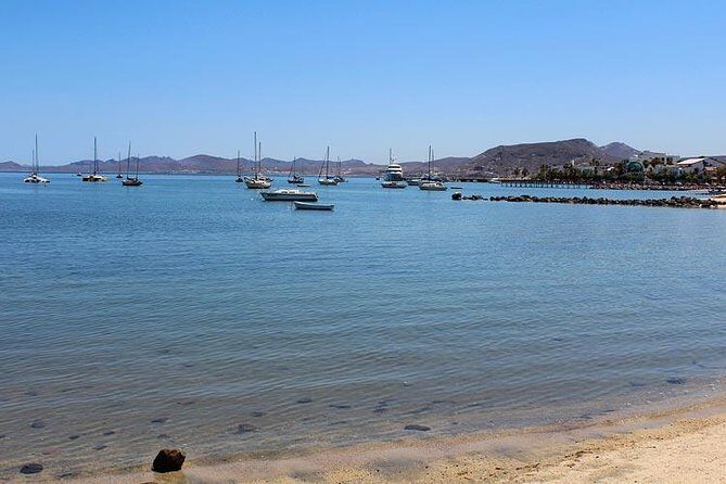 La Paz Paradise: Balandra & beyond - El Tecolote Beach Time: Swim, Sun, and a Lunch With Sea Views