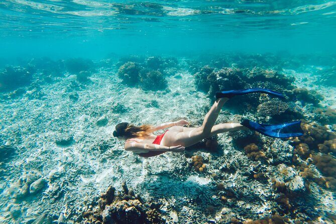 La Paz World Class Snorkeling in Balandras Hidden Beaches - Balandra and the Sea of Cortez: what you’re actually buying