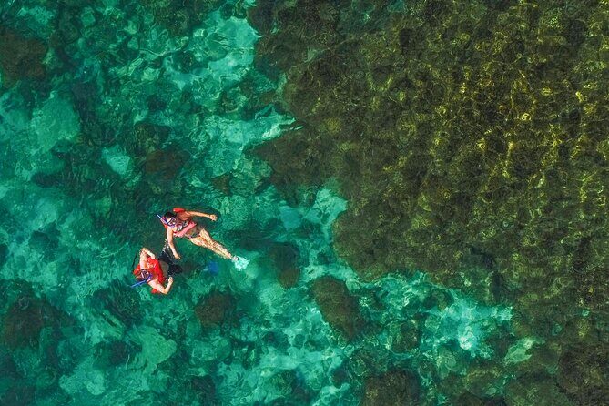 La Paz World Class Snorkeling in Balandras Hidden Beaches - Jellyfish risk: bring protection and make peace with the sea