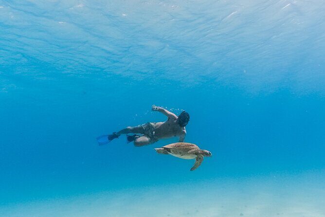 La Paz World Class Snorkeling in Balandras Hidden Beaches - Food, drinks, and why the crew gets the praise