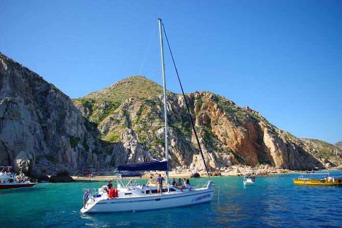 Lands End Luxury Sail and Snorkel Cruise in Cabo San Lucas - Whale Sightings and Sea Life: When the Ocean Gives You a Bonus