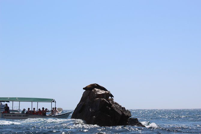Land's End & Snorkel Tour in a Glass Bottom Boat (VisitA Cabo) - Where to Meet in Cabo Marina Without Losing Your Cool