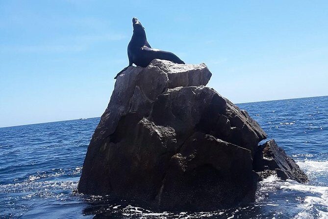 Land's End & Snorkel Tour in a Glass Bottom Boat (VisitA Cabo) - Timing and Boat Ride Expectations (2 Hours Goes Fast)