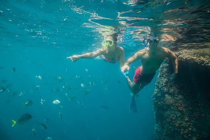 Land's End & Snorkel Tour in a Glass Bottom Boat (VisitA Cabo) - The Glass-Bottom Boat: Nice Idea, Handle With Caution