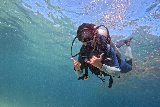 Los Cabos 1 tank dive to Land’s End (Certified Divers) - Key things I’d circle before you book