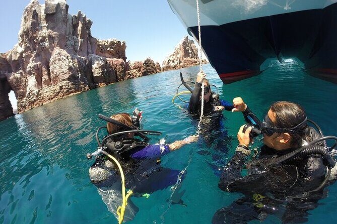 Los Cabos 1 tank dive to Land’s End (Certified Divers) - Your one-tank schedule: 2 hours 30 minutes, built for focus