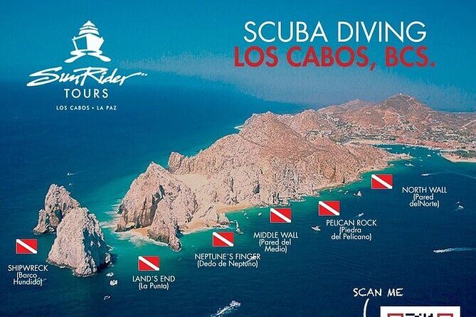Los Cabos 1 tank dive to Land’s End (Certified Divers) - Certified diver requirement and who this trip suits best