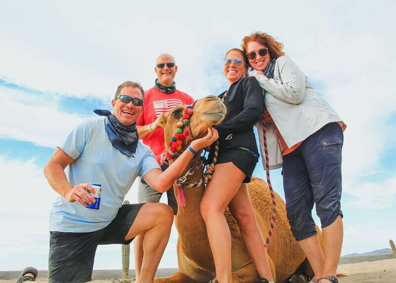 Los Cabos: 2 in 1 Combo Tour - Key things to know before you go