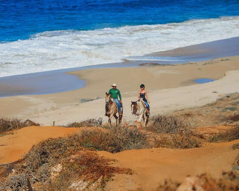 Los Cabos: 2 in 1 Combo Tour - Pickup logistics in Cabo: where you meet and how drivers behave