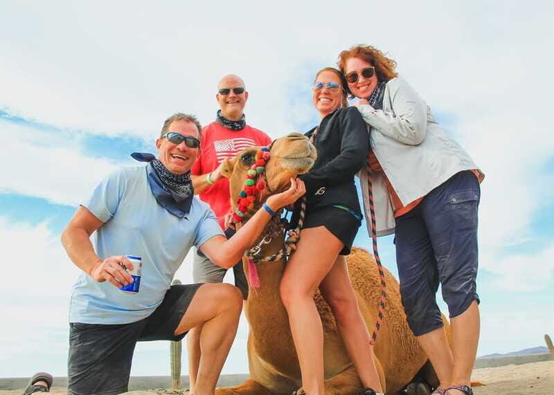 Los Cabos: 2 in 1 Combo Tour - Pricing value: does this combo tour make sense for your trip?