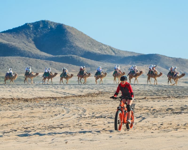 Los Cabos: 2 in 1 Combo Tour - The guide factor: what quality support looks like