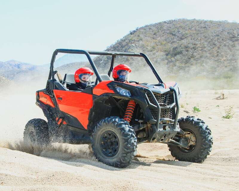 Los Cabos: 2 in 1 Combo Tour - The first hour: camel or horseback along Cabo’s Pacific beaches