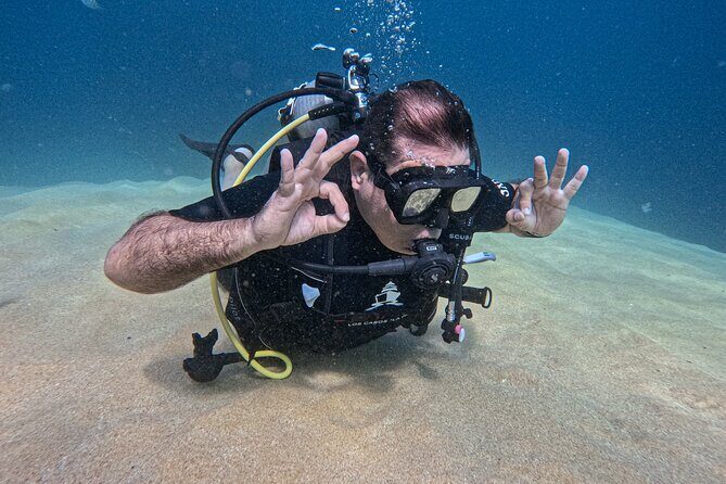 Los Cabos 2 tanks dive to The Corridor (Certified divers) - Key highlights you’ll feel on this day