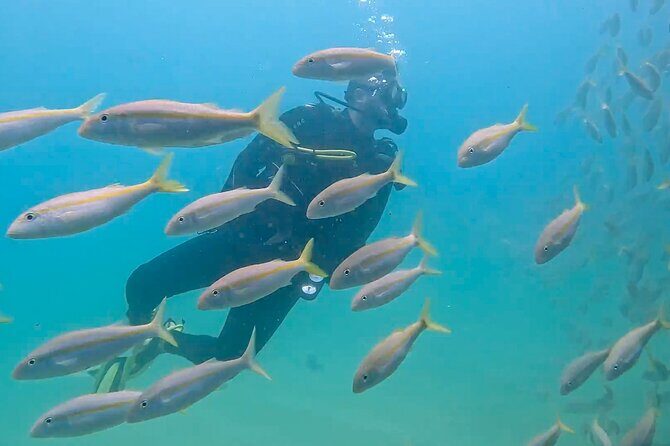 Los Cabos 2 tanks dive to The Corridor (Certified divers) - The guiding style: why safety and comfort seem to be the real product