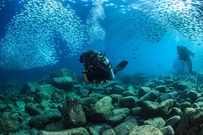 Los Cabos 2 tanks dive to The Corridor (Certified divers) - Should you book Sunrider Tours for The Corridor?