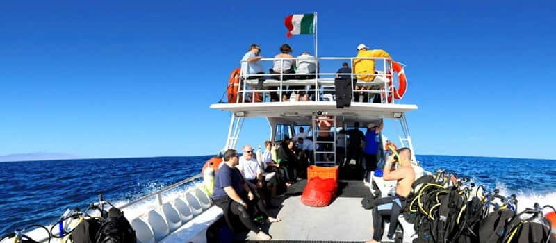 Los Cabos 3-Hour Certified Scuba Diving Tour - Your Underwater Plan: Two Tank Stops Near Cabo San Lucas