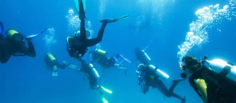 Los Cabos 3-Hour Certified Scuba Diving Tour - What You’ll See Underwater: Shipwrecks, Caves, Reefs, and Sand Falls
