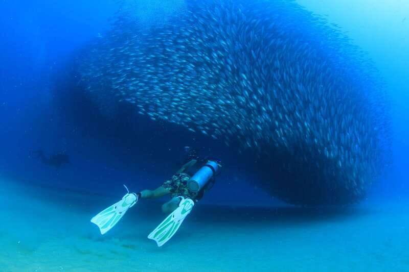 Los Cabos 3-Hour Certified Scuba Diving Tour - Boat Day Reality Check: Timing, Crew Organization, and Comfort