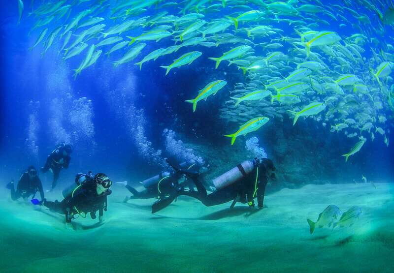 Los Cabos: 3-Hour Introductory Scuba Diving Adventure - Key Highlights You’ll Actually Care About