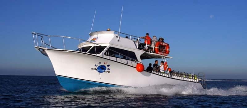 Los Cabos: 3-Hour Introductory Scuba Diving Adventure - A 3.5-Hour Intro Scuba Session in Cabo San Lucas