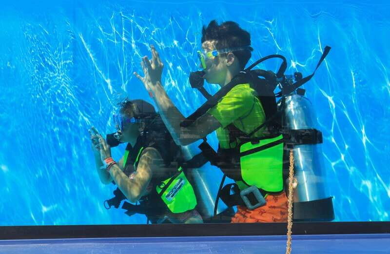 Los Cabos: 3-Hour Introductory Scuba Diving Adventure - Where You’ll Go: Pelican Rock, Land’s End, Neptune’s Finger, and Sand Falls